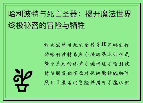 哈利波特与死亡圣器：揭开魔法世界终极秘密的冒险与牺牲